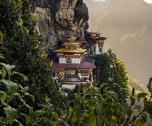 Explore Bhutan 8 Night 9 Days